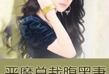 恶魔总裁腹黑妻这本小说完结了吗?免费查看最新章节-红梅文学