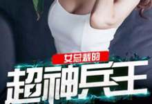 女总裁的超神兵王小说全文哪里可以免费看?-红梅文学