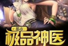 完结版《都市极品神医》章节阅读-红梅文学
