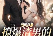 《甜诱!撩爆渣男的禁欲小叔》全集免费在线阅读(宁西纪北延)-红梅文学