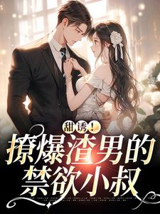 《甜诱！撩爆渣男的禁欲小叔》全集免费在线阅读（宁西纪北延）