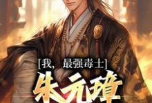 完结版《我,最强毒士,朱元璋劝我善良》章节阅读-红梅文学