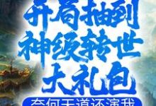 开局抽到神级转世大礼包,奈何天道还演我小说有没有完整的免费版本在线阅读?-红梅文学