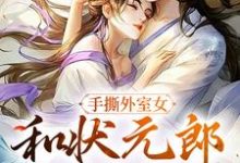 小说《手撕外室女，和状元郎斗智斗勇》章节阅读-红梅文学