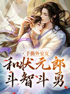 小说《手撕外室女，和状元郎斗智斗勇》章节阅读
