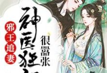 邪王追妻:神医狂妃很嚣张小说无弹窗阅读的网站推荐-红梅文学