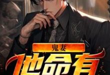 已完结小说《鬼妻：他命有红源》在线章节阅读-红梅文学