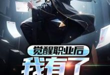 觉醒职业后,我有了全屏冰冻小说有没有完整的免费版本在线阅读?-红梅文学