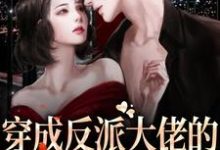 求穿成反派大佬的恶毒前妻后小说免费资源-红梅文学