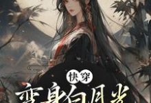 《快穿:变身白月光后撩拨人心》小说主角谭舒聂沅章节章节免费在线阅读-红梅文学