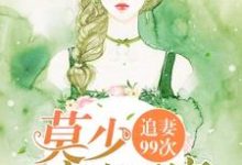 寻找追妻99次:莫少宠妻无度小说的最新更新章节-红梅文学