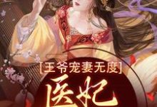 王爷宠妻无度,医妃一胎三宝小说,王爷宠妻无度,医妃一胎三宝颜小沫沈君霆-红梅文学