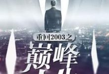 重回2003之巅峰人生周凡孙洋洋小说在线章节目录阅读最新章节-红梅文学
