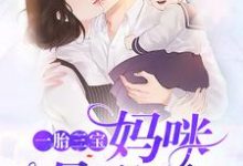 已完结小说《一胎三宝妈咪是学霸》最新章节-红梅文学
