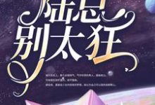 《追妻预警:陆总别太狂》全集免费在线阅读( 程念念陆琰)-红梅文学
