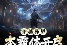 穿越异界,本霸体开启挂比之旅免费阅读,穿越异界,本霸体开启挂比之旅叶枫-红梅文学