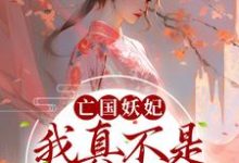 亡国妖妃,我真不是故意当祸水小说完结版章节免费阅读-红梅文学