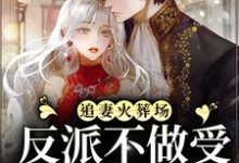 追妻火葬场:反派不做受气媳妇啦这本小说怎么样?免费在线阅读试试-红梅文学