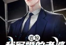 完结版《震惊!我军婚的老婆成富婆了》免费阅读-红梅文学