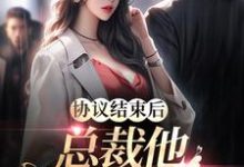 白茹李昭的小说在哪里看?免费在线阅读协议结束后,总裁他不让我走了-红梅文学