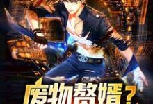 苏辰夏若曦为主角的小说叫什么?免费看废物赘婿?不,我是战狼!-红梅文学