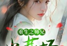 免费在线阅读重生之师兄火葬场小说的正规网站有哪些?-红梅文学