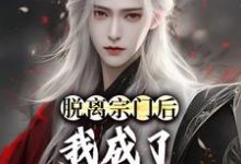 已完结小说《脱离宗门后,我成了魔道第一人》在线章节阅读-红梅文学