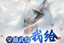 小说《穿越武综,我给邀月解毒》章节免费阅读-红梅文学