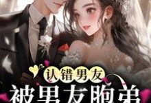 认错男友,被男友胞弟赖上怎么办?小说的免费电子版在哪里可以下载或阅读?-红梅文学