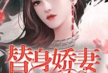 替身娇妻不好惹免费阅读，替身娇妻不好惹章节在线阅读-红梅文学