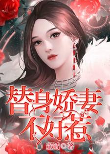 替身娇妻不好惹免费阅读，替身娇妻不好惹章节在线阅读
