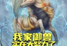 已完结小说《我家御兽实在太努力了》章节在线阅读-红梅文学