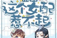谢清虞洛南书的故事在哪本书里?免费阅读快穿:这个女配惹不起-红梅文学