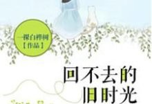 林小念顾北城白雅为主角的小说好看吗?免费读回不去的旧时光-红梅文学