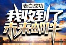 表白成功,我收到了未来邮件小说最新更新在哪里?免费在线看-红梅文学