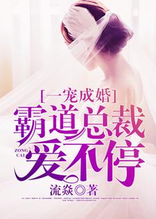 小说《一宠成婚：霸道总裁爱不停》在线章节阅读