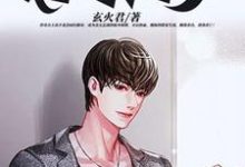 女神的贴身高手小说阅读,女神的贴身高手完结版-红梅文学