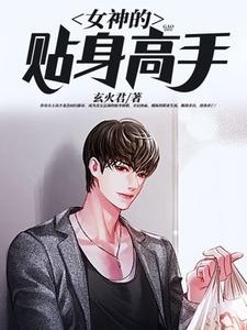 女神的贴身高手小说阅读，女神的贴身高手完结版