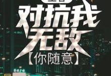 已完结小说《王者:对抗我无敌,你随意》章节在线阅读-红梅文学