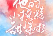 《他的小撩精甜爆啦》小说大结局免费试读 夏绾绾江野小说-红梅文学