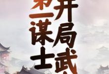 三国:第一谋士,开局武力小说有没有完结版在线?-红梅文学