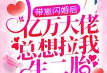 在线寻找带崽闪婚后,亿万大佬总想拉我生二胎小说的无删减版本-红梅文学
