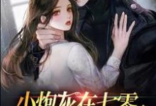 小炮灰在七零,燎的军官宠上天小说有没有完结版在线?-红梅文学