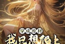 穿成废材，我只想爬上女帝龙床小说的免费电子版在哪里可以下载或阅读？-红梅文学