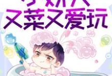 小说《撩惹无度:小娇夫又菜又爱玩》在线章节阅读-红梅文学