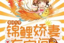 小说《重回九零:锦鲤娇妻有空间》章节阅读-红梅文学
