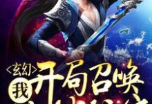 《玄幻:我,开局召唤地球玩家》全集免费在线阅读(吴飞天)-红梅文学