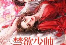 禁欲少帅，他情陷美人怀这本小说怎么样？免费在线阅读试试-红梅文学