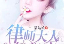 小说《律师大人,轻点疼》在线章节阅读-红梅文学