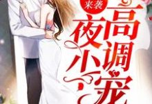 已完结小说《狂妻来袭:夜少,高调宠》章节免费阅读-红梅文学